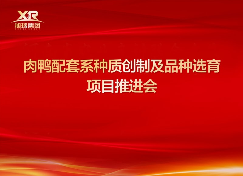 河南省肉鴨種質創制及品種選育項目推進會順利召開